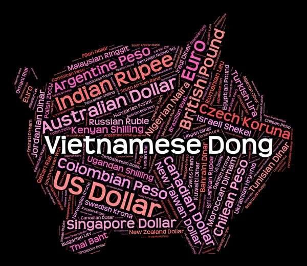 Vietnamese Dong Means Currency Exchange And Broker — Zdjęcie stockowe