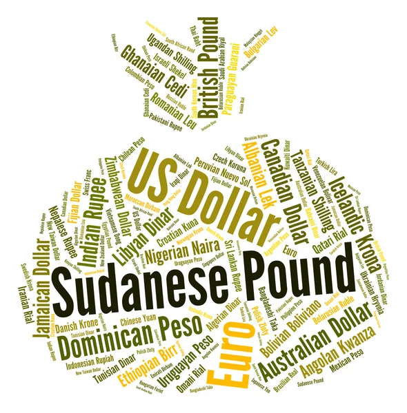 Sudanese Pound Indicates Foreign Currency And Coin — Stock Photo, Image