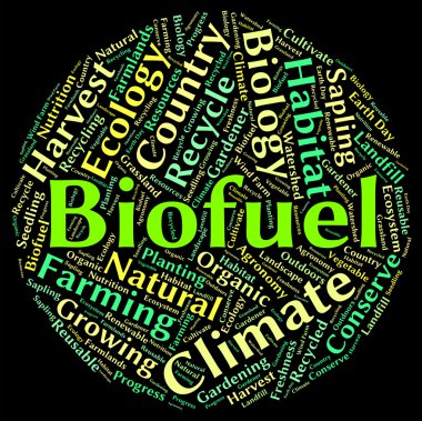Yenilenebilir enerji ve biyogaz biyoyakıt kelime gösterir
