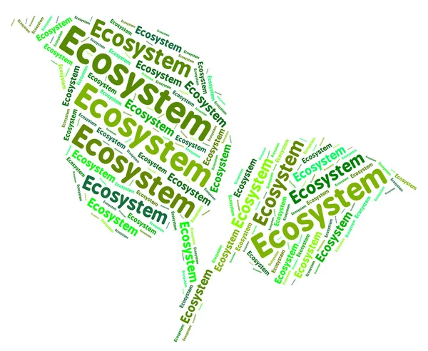 Ecosystem Word Indicates Earth Day And Biosphere — Stock Photo, Image