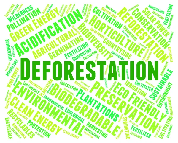 Palabra de deforestación significa cortar y despejar — Foto de Stock
