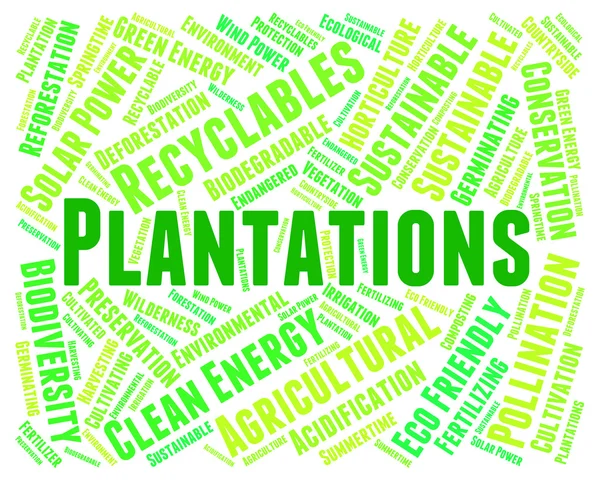 Plantations Mot signifie ranch agricole et texte — Photo