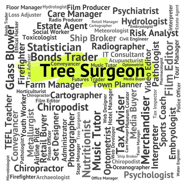 Tree Surgeon Shows General Practitioner And Md — Stock Photo, Image