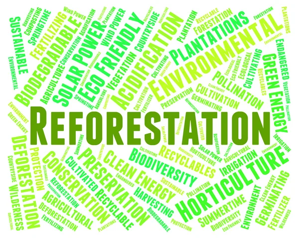 Mot de reboisement signifie reboisement des forêts et des forêts — Photo