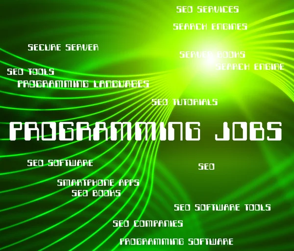Programming Jobs Represents Software Design And Development — Stock Photo, Image