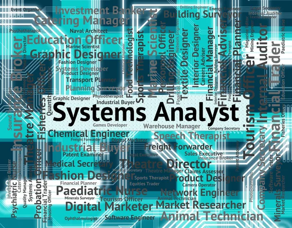 Analista de Sistemas Indica Analizar Computación y Ocupaciones — Foto de Stock