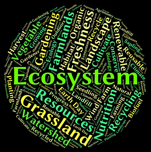 Palabra de ecosistema muestra eco biosystem y ecología —  Fotos de Stock