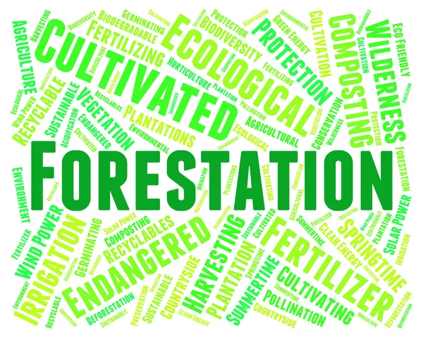 Forestation Word Means Park Woodland And Trees — Stok Foto