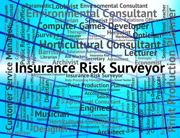 Pojištění rizika Surveyor označuje pozici politik a Surveyin — Stock fotografie