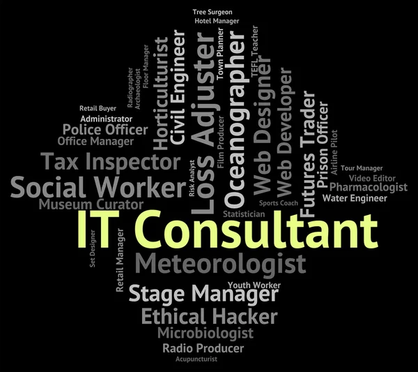 It Consultant Indicates Information Technology And Advisers — Stock Photo, Image