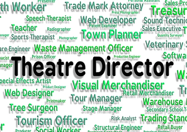 Theatre Director Means Overseer Jobs And Occupations — Stock Photo, Image