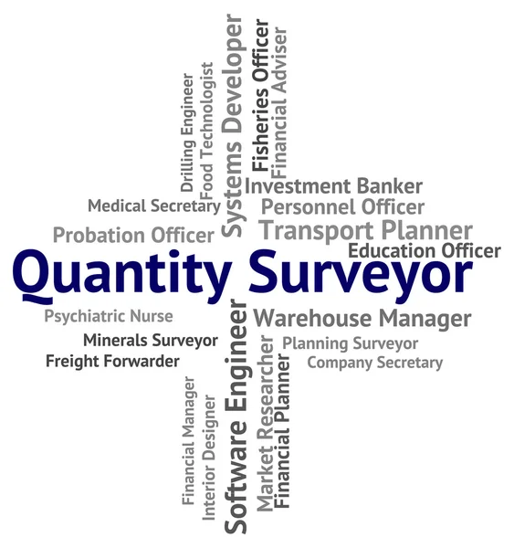 Quantidade Surveyor mostra inquiridores medidores e texto — Fotografia de Stock