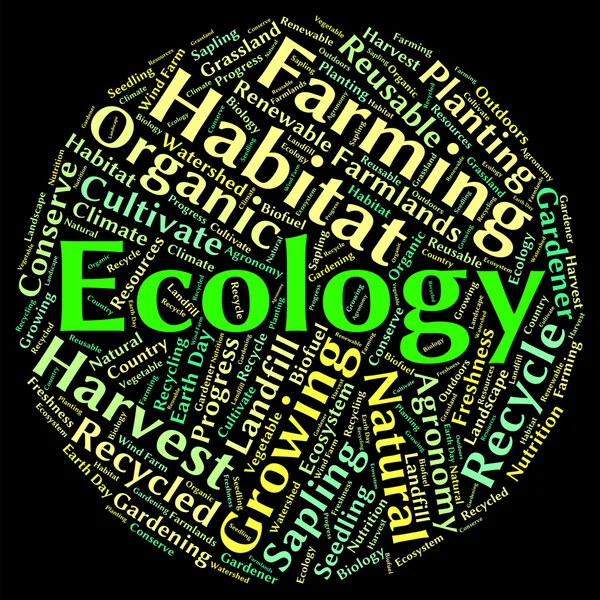 Palavra Ecologia Indica Proteção Protegida e Terra — Fotografia de Stock