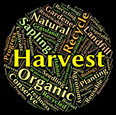 Harvest Word Means Produce Grains And Gather clipart