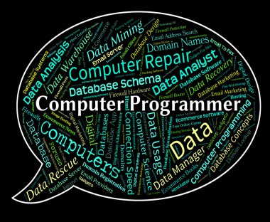 Bilgisayar programcısı anlamına gelir yazılım mühendisi ve iletişim