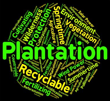 Plantation sözIere kendi çiftlikleri çiftlik ve tarım