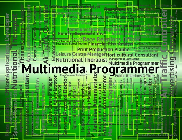 Multimedia Programmer Represents Occupations Programmers And Hir — Stock Photo, Image