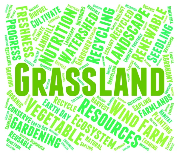 Grassland Word représente l'environnement herbeux et prairie — Photo