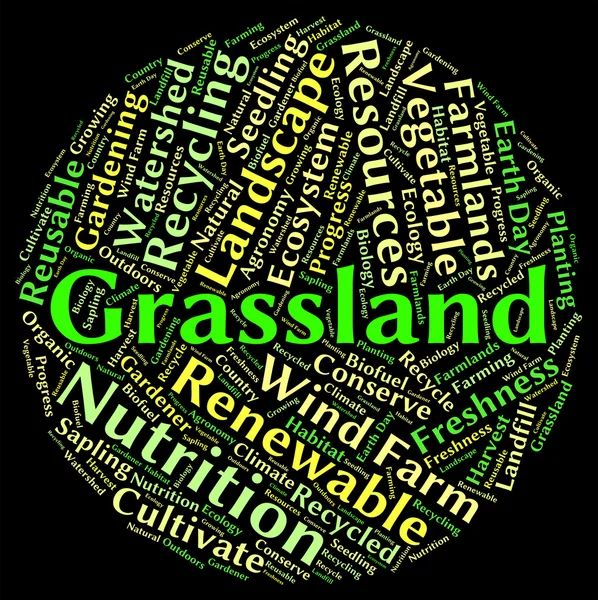 Grasland woord betekent graslanden met gras begroeid en veld — Stockfoto