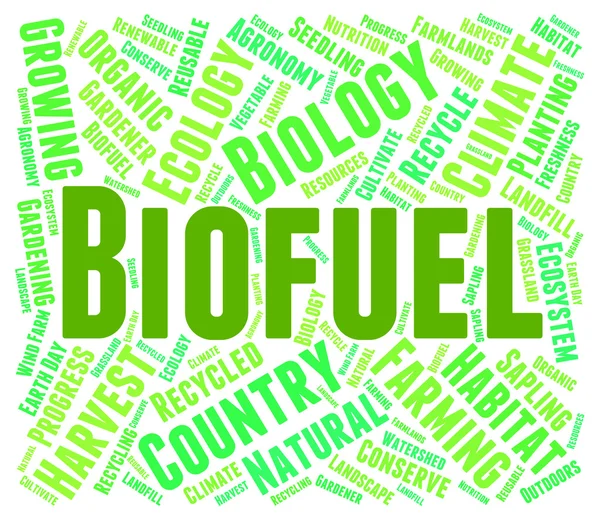 Biopaliwo słowo oznacza zielonej energii i biogazu — Zdjęcie stockowe