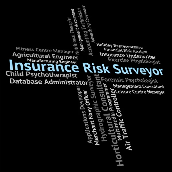 Pojištění rizika Surveyor znamená slovo zaměstnance a měření — Stock fotografie
