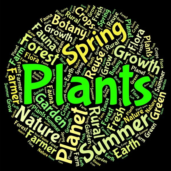 Plants Word Means Herbage Text And Botanical — Stock Photo, Image