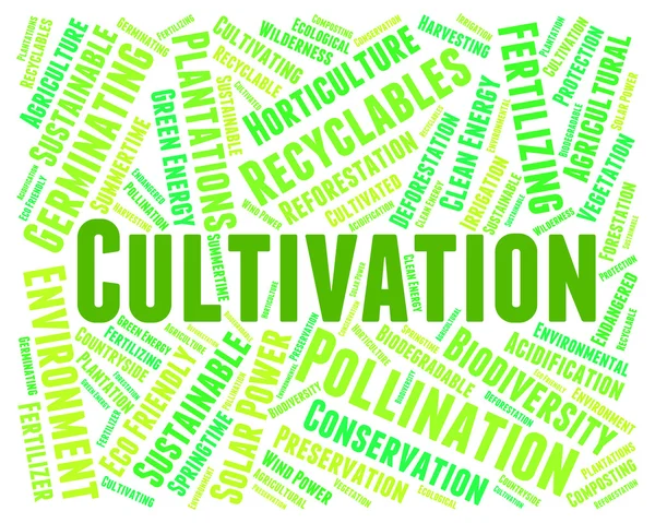 Cultivation Word Means Sow Grow And Farming — Stok Foto