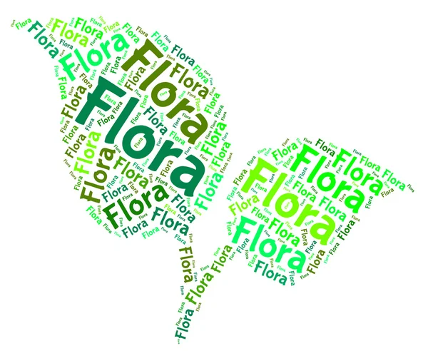 Flora szó azt jelenti, növényi élet és területek — Stock Fotó