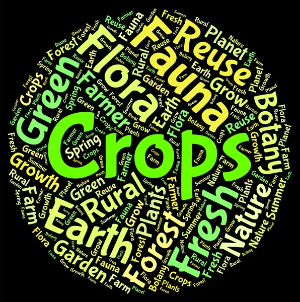Crops Palavra mostra colheitas grãos e grãos — Fotografia de Stock