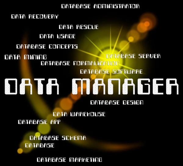 Data Manager Shows Bytes Director And Managers — Stock Photo, Image