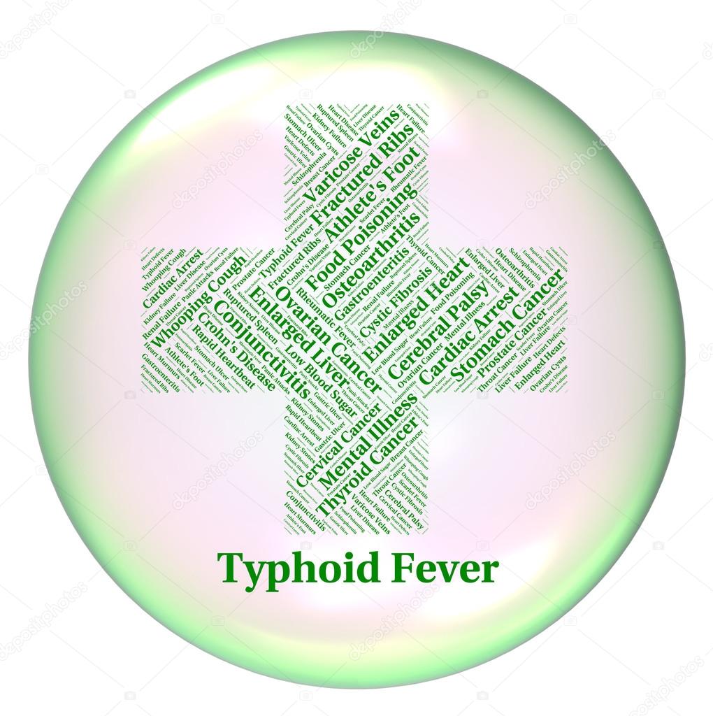 Typhoid Fever Indicates Symptomatic Bacterial Infection And Salm
