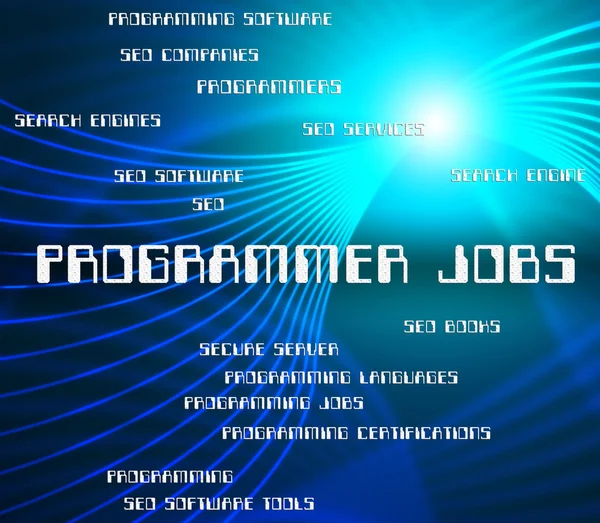 Programmer Jobs Means Software Engineer And Employment — Stock Photo, Image