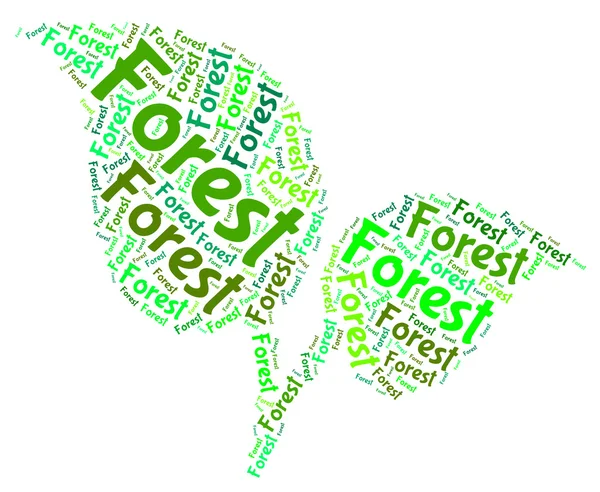 Lasu słowo wskazuje zalesionych lasów i daszek — Zdjęcie stockowe