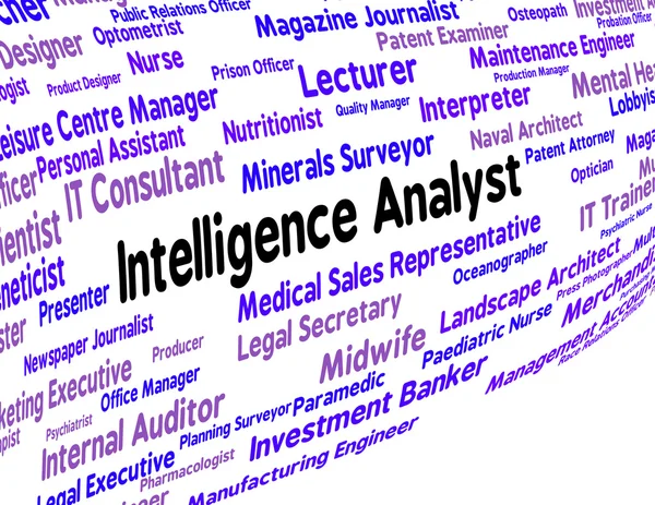 Intelligence Analyst Indicates Intellectual Capacity And Ability — Stock Photo, Image