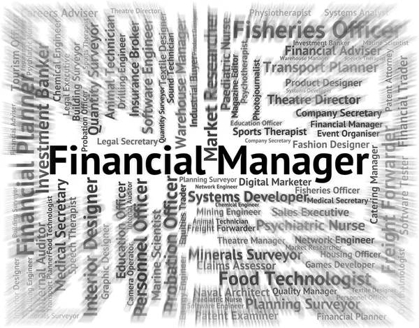 Financial Manager Means Trading Jobs And Boss — Stock Photo, Image