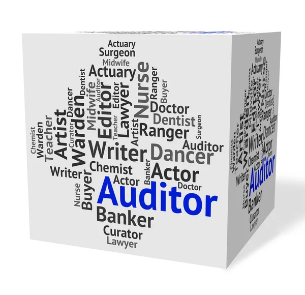 Úloha auditora představuje Text auditorů a inspektorů — Stock fotografie