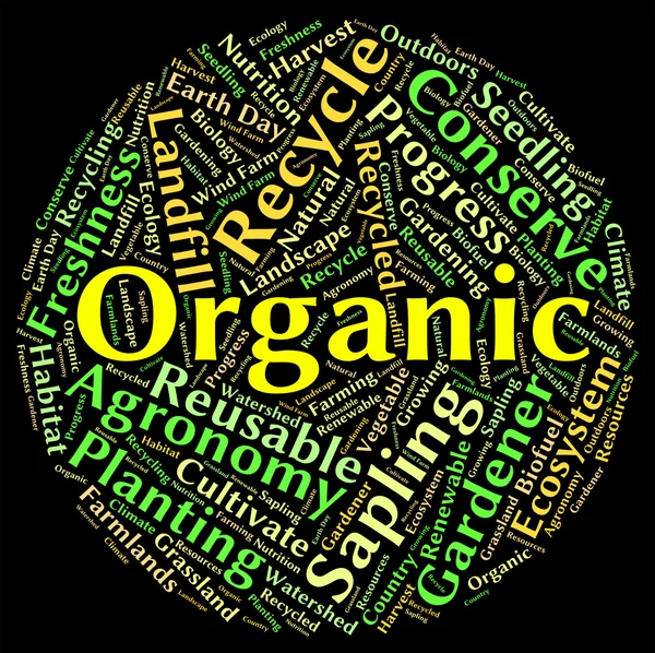 Organic Word Means Natural Healthy And Nature — Stock Photo, Image