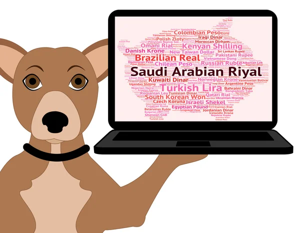 Suudi Arabistan Riyali Döviz ve para gösterir — Stok fotoğraf