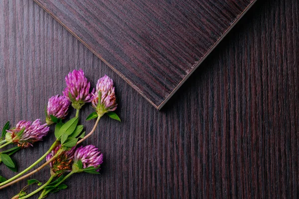 Topview of Laminated particleboard with clover flowers. Flat-lay