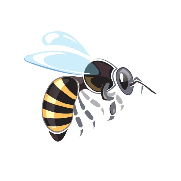 Bienenvektor-Illustrationen — Stockvektor