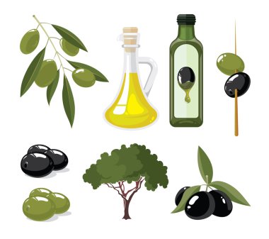 vektör çizimler set zeytin