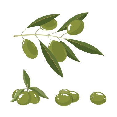 vektör çizim set ile beyaz zeytin yapraklar