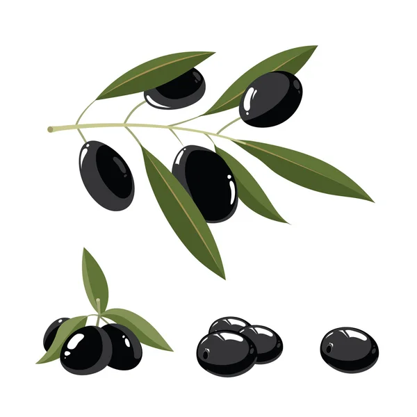 Vector ilustración conjunto de aceitunas negras con hojas — Vector de stock