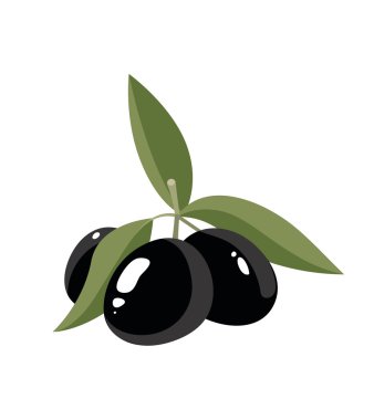 Siyah Zeytin ile vektör çizim yapraklar
