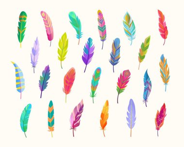 Egzotik kuş tüyleri. Kırmızı renkli parlak yeşil desenli zengin şelale yumuşak mavi kontrast sarı papağan resimli güzel mor tavus kuşu izi. Çizgi film vektörü.