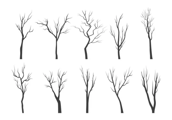 Tree branch silhouette set. Bare twisting stems of plants with various tracery forms of growth winter with no forest leaves dry plucked shoots with dead bark. Abstract vector outline. — Stock Vector