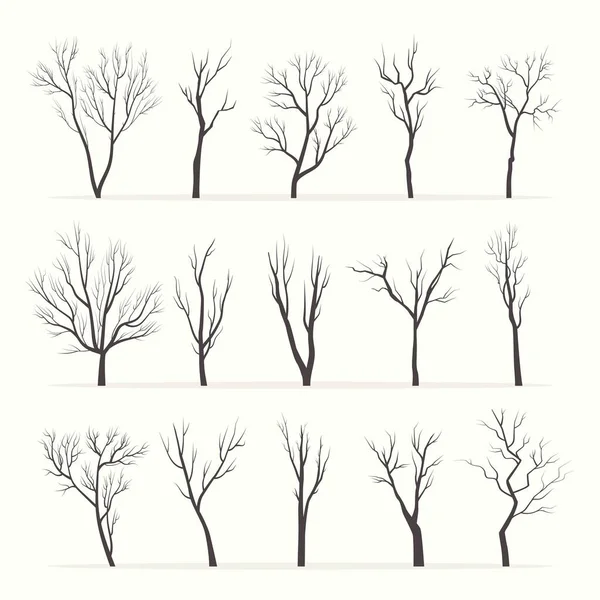 Trees with bare branches silhouette set. Mysterious black growths twisting stems of plants with various tracery forms of shape winter with no forest leaves dry plucked shoots. Abstract vector. — Stock Vector