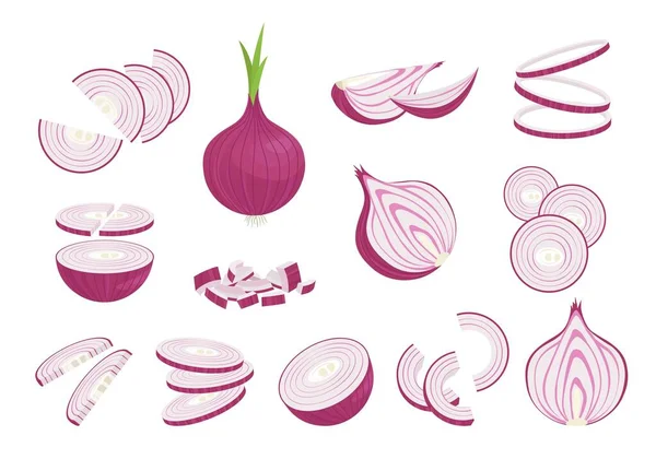 Κρεμμύδια Διάφορα Κοψίματα Ολόκληρα Και Φέτες Μωβ Λαχανικά Για Καρυκεύματα — Διανυσματικό Αρχείο