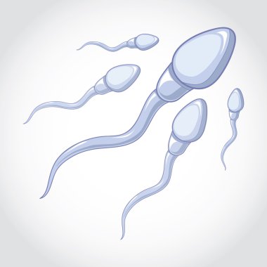 spermler