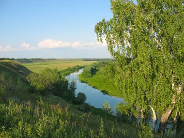 Yaz yatay, huş ağacı ve küçük nehir